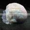 High quality natural hand carved crystal geode skulls for sale
