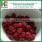 Wholesale Bulk Frozen Raspberries/Frozen Raspberries Price/Frozen Raspberry
