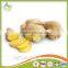 Fresh Young Ginger,Yellow Ginger,Fresh and Air Dry Ginger