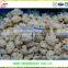 2015 Bulk New crop Chinese Frozen Cauliflower