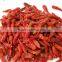 VIETNAM DRIED RED CHILLI HIGH QUALITY