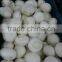 2015 new crop fresh champignons kit