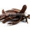 Foods that reduce cholesterol Ground Carob Seeds Slimming Breakfast Cereal Dietary Food