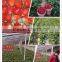 Organic Fulvic Acid 40% Instant Soluble Fertilizer +TE