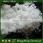food grade magnesium chloride 7791-18-6