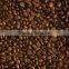 Export High Quality Arabica Coffee Bean Roasted Coffee Bean