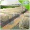 Commercial Film Greenhouses For Agricultural