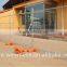 hot dipped galvanized temporary fence for sale cheap Australia temporary fencing china