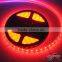 Best seller 12v/ 24v 5050 led strip light rgb for indoor & outdoor
