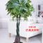 Guanghzou high simulation indoor & outdoor artifcial pachira macrocarpa tree