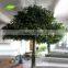 Big Artificial Banyan Tree bonsai 18ft high for Garden Landscaping decoration indoor use