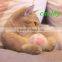 2017 best 100% wool ball cat toy in stock