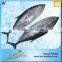 Fair Price Fresh Tuna Stock Albacore