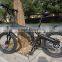 20 Inch Electric Folding Bike Mountain Electric Bike Electric Fat Tire Bike
