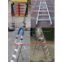 Step Footplate ladder