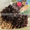 Top quality Brazilian human hair ombre two tone natural blonde curly hair extensions