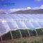 greenhouse covering material polyethylene film pe film sheets