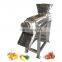 Commercial Screw Lemon Calamansi Juice Making Pineapple Apple pomegranate fruit juicer extractor machine