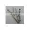 Galvanized Nails Wire Nail with High Quality and Competition Price