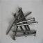 iron wire Nails wood nail