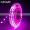 3 years warranty 3oz copper PCB 12V 24V 4 in 1 RGBWW RGBNW RGBCW 5050 RGBW led strip