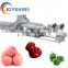 Small Medium and Large Scale Industrial Fruit and Vegetable Apple Ginger Washer and Dryer Machine