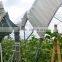 Greenhouse Structure Pole Ancher stake in horn shape