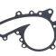 Auto pump gaskets