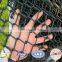 High Quality galvanized fence Chain Link Fence Swimming Pool Fence