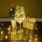 Indoor Holiday decorations Led Smart Christmas tree Light string for phone APP wireless control