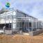 chicken coop hen layer poultry shed house design