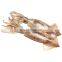 todarodes squid frozen todarodes pacificus squid japanese flying squid