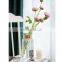 New Design Wholesale Wedding Creative Round Clear Gold Glass Pot Flower Vase Tabletop Home Decoration