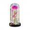 Hot Selling LED Light Decorative Rose in Glass Dome for Mother's Day Gifts Weddings Wholesale Supply