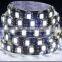 cold white led 12V 60leds SMD5050 Waterproof Flexible LED Strip 50m