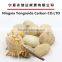 Polished Cobblestone/Pebble Stone for sale