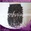 malaysian curly virgin hair malaysian 4x4 free part lace closure 1pc vip beauty hair virgin malaysian deep curly hair
