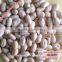 Chinese Blanched Peanuts