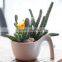 wholesale artificial mini succulent flower plants, mini flower bonsai
