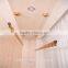 Modern home used balcony ceiling mounted lifting clothes dryer by hand control AY-9304