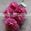 Home decoration 5 heads silk peony flowers wholesale