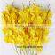 Thanksgiving Day Natural Black Orchid Flowers For Sale For Wedding