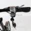 250W Cheap Small Folding Electric Bike, Cheap Electric Bicycle