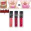 Private label 25 shades waterproof moisturzing lipstick with factory price