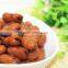 RICH EXPERIENCE EXPORT TO IRAQ MARKET CANNED BROAD BEAN