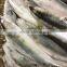 New Stock BQF WR Frozen Fish Mackerel 150g