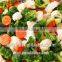 high quality frozen mixed vegetable (IQF Beas -IQF peas- IQF Carrots)