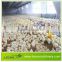 LEON series best quality broiler chicken house farming equipment for sale