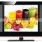 19 inch LCD TV Monitor With Analog TV Tuner