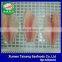 Cheap Frozen Seafood Live Tilapia Fillet Fish